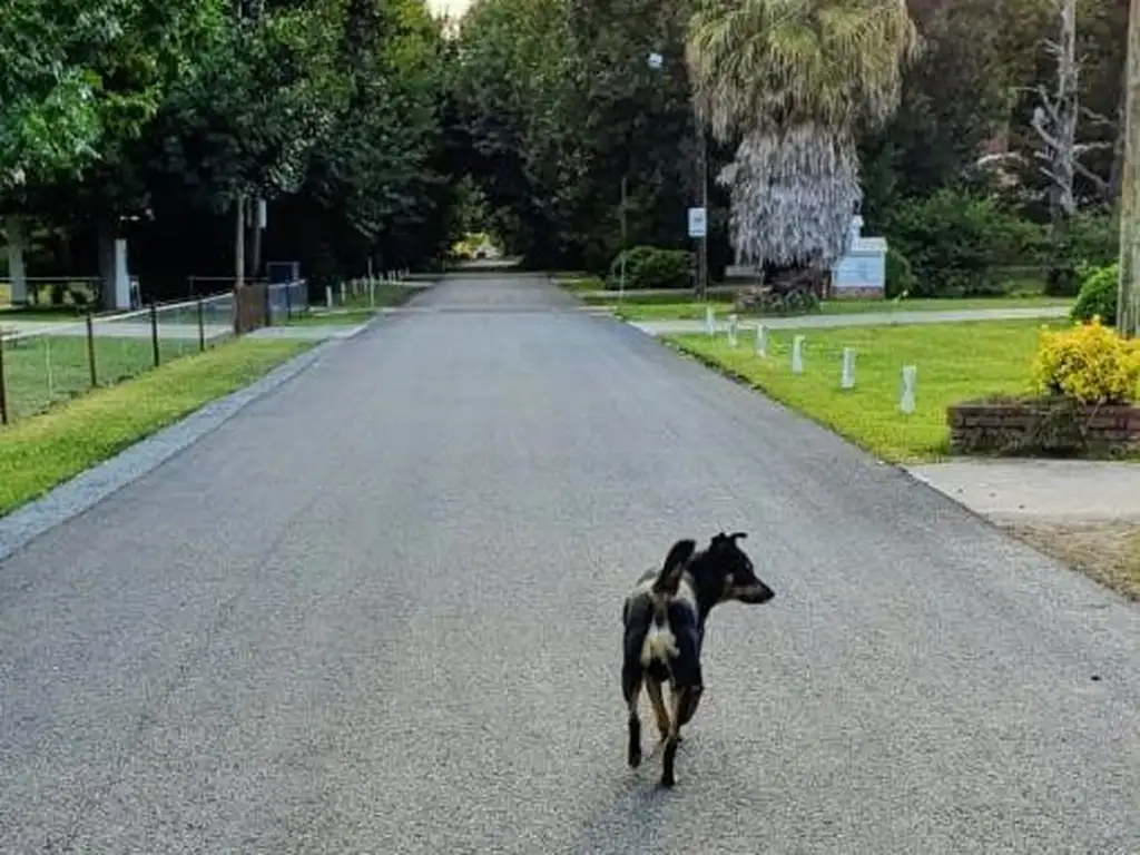 Lotes 16 y 17 venta Manzana 5, Parque Las Naciones, Guernica - Foto 14