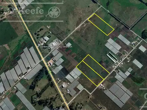 CHACRA HORTICOLA DE 3,6  ha EN VENTA
