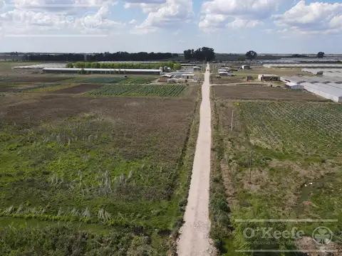 CHACRA HORTICOLA DE 3,6  ha EN VENTA