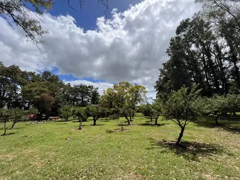 Campo en Venta de 8  ha