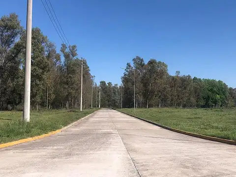 Terreno en Parque Industrial en el Partido de Moreno