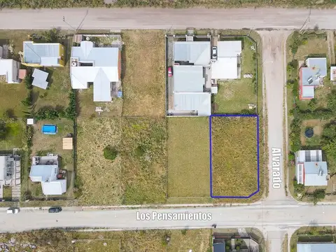 Los Pensamientos y Alvarado