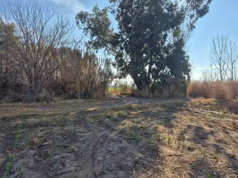 Terreno en Venta de 100000,0 m2