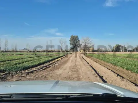 Ramas , Piso 0