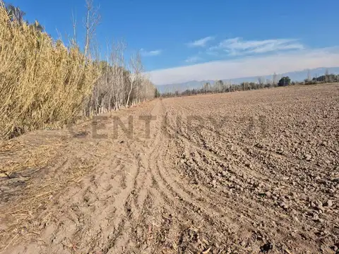 Terreno en Venta en 3 de Mayo, USD 90.000