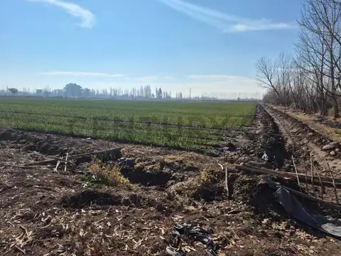 Venta de Finca en Lavalle, Tres de Mayo, sobre Ruta 36 entre Calle  Rama 5 y  Ra