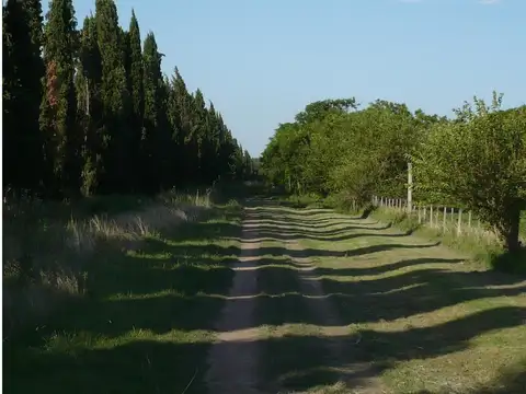 Campo en Venta Granja