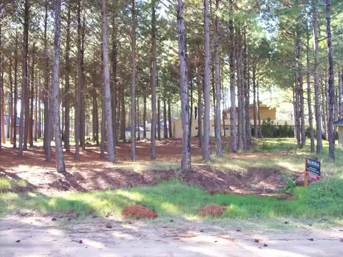 Lote - Venta - Argentina, Pinamar