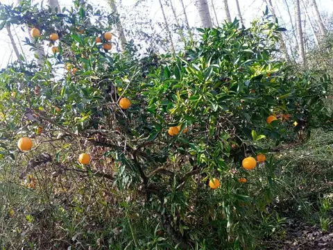 Casa en Venta en San Fernando, USD 30.000