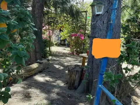 Arroyo Felicaria al 2000