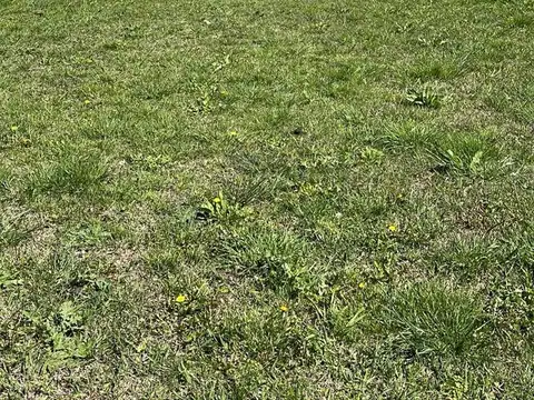 Terreno en venta en camino Regatas