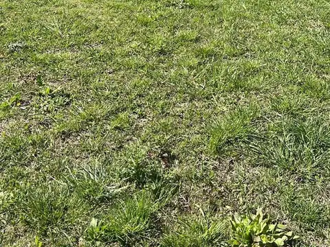Terreno en Venta de 320,0 m2