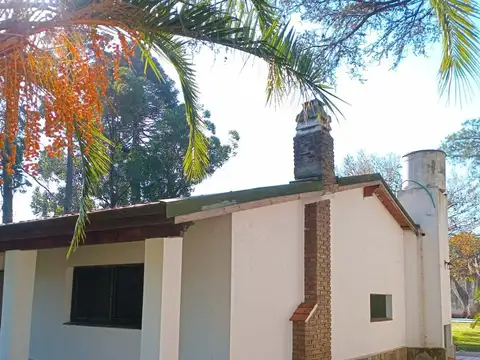 Gabriela Mistral 4600