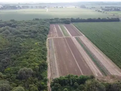 VENTA TERRENO CON CONSTRUCCIÓN CAMINO 60 CUADRAS 