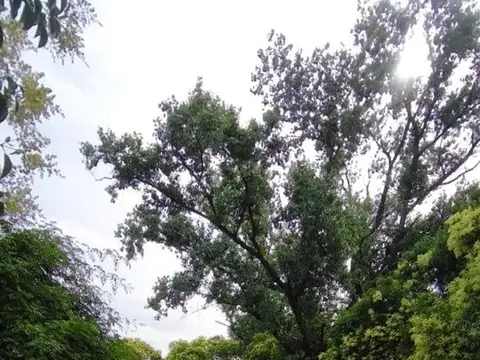 Venta de lote de 500 m2 APTO CREDITO Monte Grande