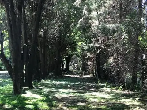 Casa en Venta 20 años