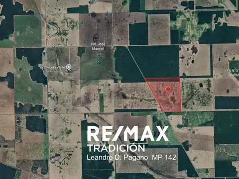 Campo en Venta – 77has Colonia José Mármol
