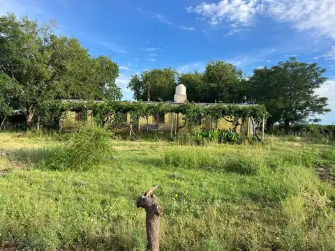 Campo en Venta en Chapanay, San Martín