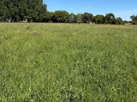 Terreno en Venta en Estancias Las Lilas, USD 100.000