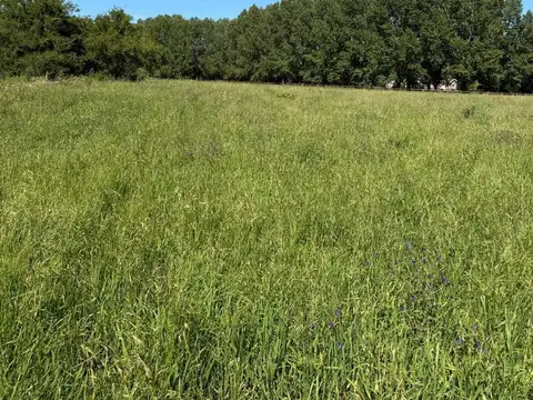 Terreno en Venta de 15000,0 m2