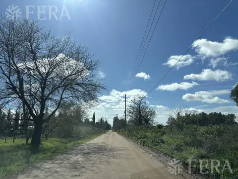 CALLE 517 y 645