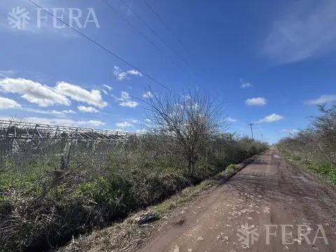 CALLE 517 y 645