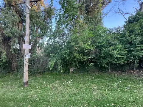Lote en calle La Pista en Ingeniero Maschwitz