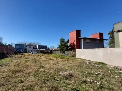 Paseo 11o entre Avenida 12 y 13