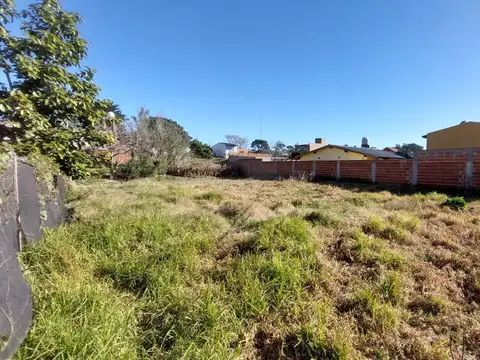 Paseo 11o entre Avenida 12 y 13