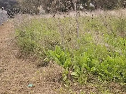 Terreno en Venta de 4000,0 m2