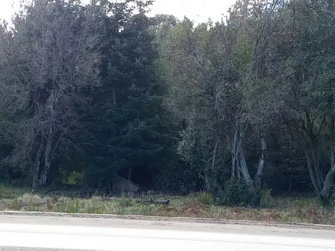 UNICO LOTE DE 3110 SOBRE RUTA 40 EN LOMAS DEL CORRENTOSO