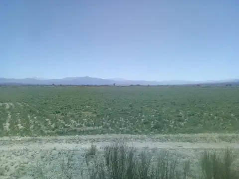 Ruta 76