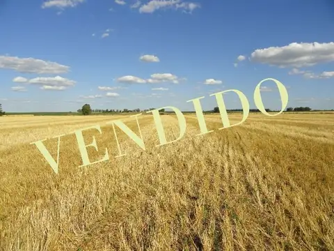 Campo en Venta 