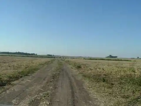 Campo en Venta Agricola