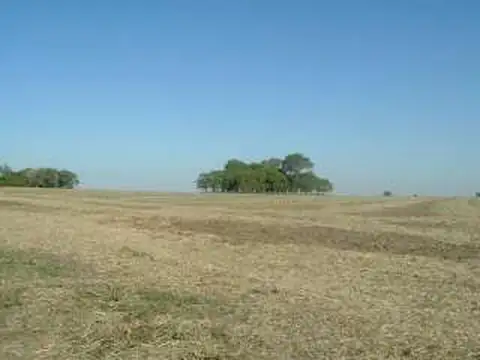 Campo en Venta de 400  ha