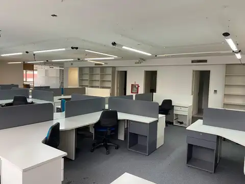 Encarnación Ezcurra al 300
