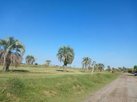 Avenida de la Paz al 2700