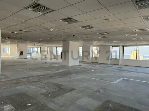 Oficina en Alquiler A Estrenar