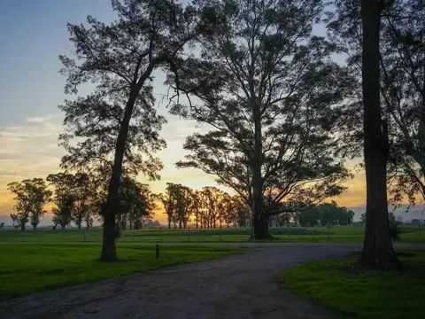 Ruta 6, Kilometro 42