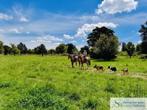 Terreno  venta 50000m2 gas luz fibra óptica en El Remanso Exaltación de la Cruz