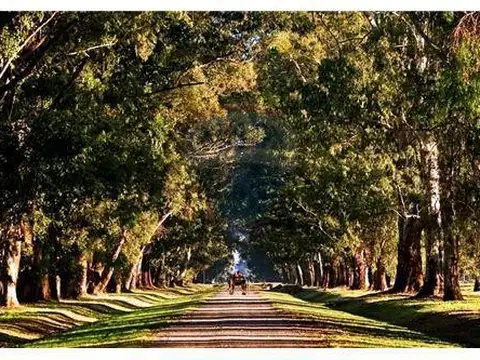 Terreno en Venta de 1350,0 m2