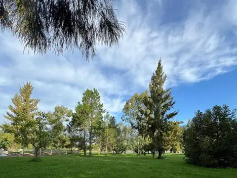 Terreno en Venta de 1425,0 m2