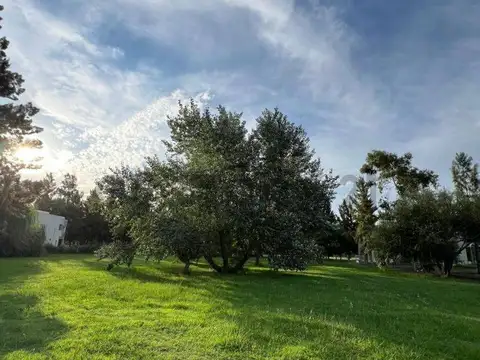 ruta 2 km 65 , Piso 0