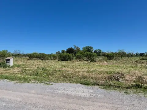 Terreno en Venta 31  mts Frente