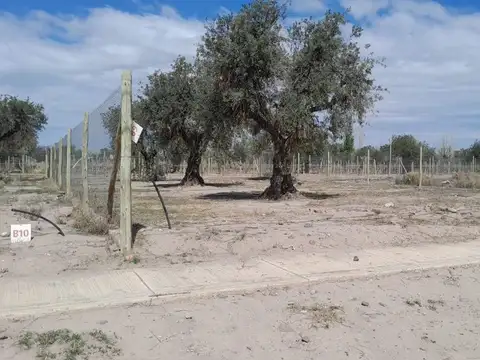Terreno en Venta en Mayor Drummond, USD 19.000