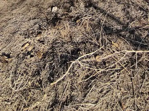 Julio A Roca 5500