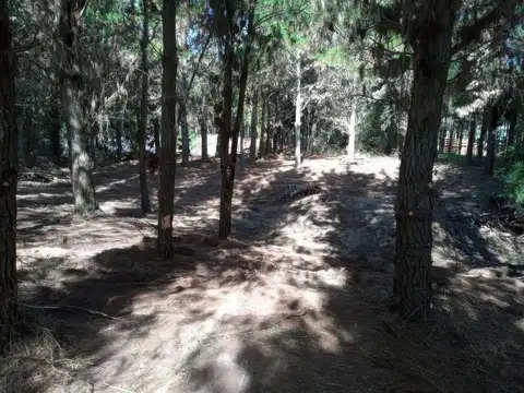 Terreno en Venta de 917,0 m2