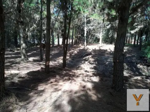 Terreno en Venta de 917,0 m2