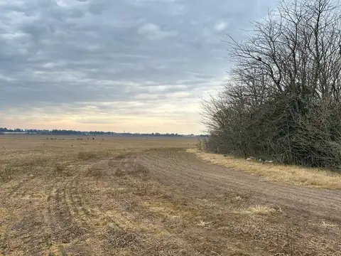 CAMPO DE 27 HECTAREAS en Arrecifes - La Luisa - Provincia de Buenos Aires