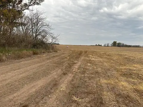 2 Fracciones de Campo en Arrecifes - La Luisa - Provincia de Buenos Aires